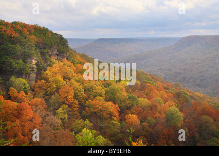 Vista dal golfo di alloro si affacciano, porta in pietra Trail, Savage Golfo Stato Area Naturale, Beersheba molle, Tennessee, Stati Uniti d'America Foto Stock