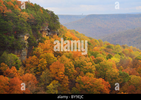 Vista dal golfo di alloro si affacciano, porta in pietra Trail, Savage Golfo Stato Area Naturale, Beersheba molle, Tennessee, Stati Uniti d'America Foto Stock