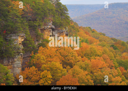 Vista dal golfo di alloro si affacciano, porta in pietra Trail, Savage Golfo Stato Area Naturale, Beersheba molle, Tennessee, Stati Uniti d'America Foto Stock