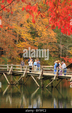 I visitatori la pesca dalla passerella sul lago Byrd, Cumberland Mountain State Park, Crossville, Tennessee, Stati Uniti d'America Foto Stock