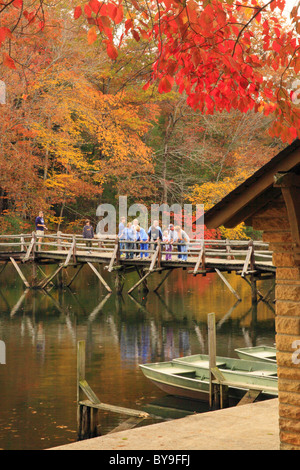 I visitatori la pesca dalla passerella sul lago Byrd, Cumberland Mountain State Park, Crossville, Tennessee, Stati Uniti d'America Foto Stock