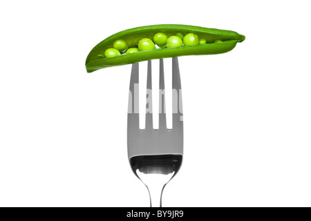 Foto di un open pea pod su una forcella isolato su uno sfondo bianco, parte di una serie. Foto Stock