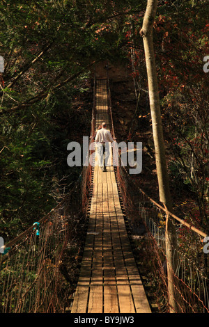 Escursionista di canna Creek ponte oscillante, sentiero boschivo, Fall Creek Falls membro Resort Park, Pikeville, Tennessee, Stati Uniti d'America Foto Stock