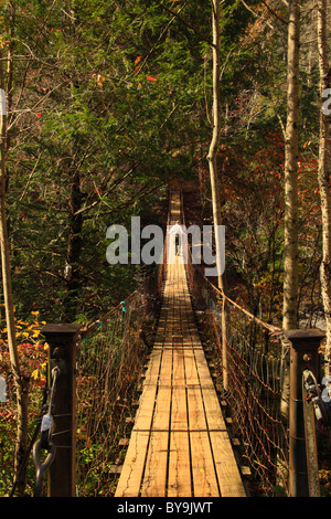 Escursionista di canna Creek ponte oscillante, sentiero boschivo, Fall Creek Falls membro Resort Park, Pikeville, Tennessee, Stati Uniti d'America Foto Stock