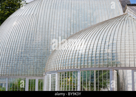 La Casa delle Palme a Bicton Park dettaglio Foto Stock