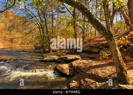 River Trail, caduta di acqua fiume, Burgess Falls State Park, Sparta, Tennessee, Stati Uniti d'America Foto Stock