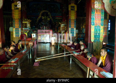 I monaci buddisti e i novizi partecipare ad un servizio di preghiera nel monastero Fo-Brang a Kalimpong, West Bengal, India Foto Stock