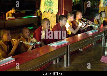 I monaci buddisti e i novizi partecipare ad un servizio di preghiera nel monastero Fo-Brang a Kalimpong, West Bengal, India Foto Stock