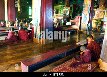 I monaci buddisti e i novizi partecipare ad un servizio di preghiera nel monastero Fo-Brang a Kalimpong, West Bengal, India Foto Stock