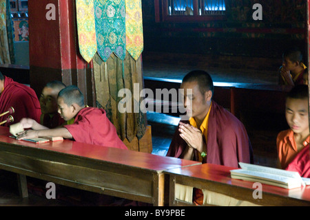 I monaci buddisti e i novizi partecipare ad un servizio di preghiera nel monastero Fo-Brang a Kalimpong, West Bengal, India Foto Stock