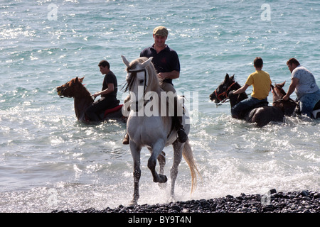 Piloti la balneazione i loro cavalli in mare a Adeje come parte dell'fiestas de San Sebastian, Tenerife, Isole Canarie, Spagna Foto Stock