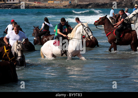 Piloti la balneazione i loro cavalli in mare a Adeje come parte dell'fiestas de San Sebastian, Tenerife, Isole Canarie, Spagna Foto Stock