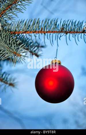 Vetro ornamento di Natale appeso dal pino ramo di albero Foto Stock