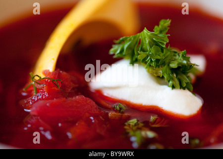 Borscht, un tradizionale ucraino o russo zuppa di barbabietole con panna acida e prezzemolo. Foto Stock