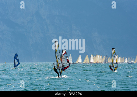 Wind surf sul lago di Garda nei pressi di Torbole, in provincia di Trento, Trentino, Italia, Europa Foto Stock