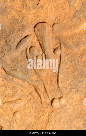 Incisione di roccia di una mucca di pianto, neolitica arte rupestre vicino Djanet, del Tassili n'Ajjer National Park, Patrimonio Mondiale dell Unesco Foto Stock