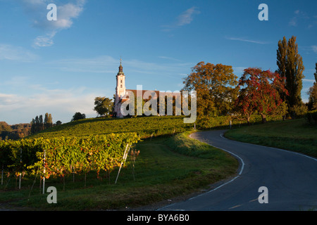 La chiesa di pellegrinaggio Birnau Il Lago di Costanza a alba circondato da vigneti, Bodenseekreis distretto, Baden-Wuerttemberg Foto Stock