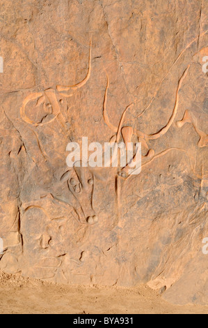 Famosa roccia di incisione di una mucca di pianto, neolitica arte rupestre vicino Djanet, del Tassili n'Ajjer National Park, Patrimonio Mondiale dell Unesco Foto Stock