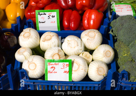 Il finocchio sul Viktualienmarkt mercato alimentare, Altstadt-Lehel distretto, Monaco di Baviera, Germania, Europa Foto Stock