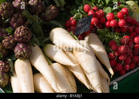 Ravanelli sul Viktualienmarkt mercato alimentare, Altstadt-Lehel distretto, Monaco di Baviera, Germania, Europa Foto Stock