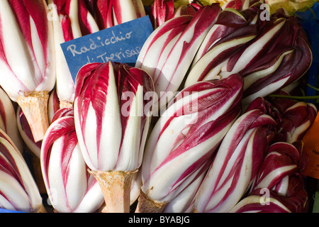 Radicchios sul Viktualienmarkt mercato alimentare, Altstadt-Lehel distretto, Monaco di Baviera, Germania, Europa Foto Stock