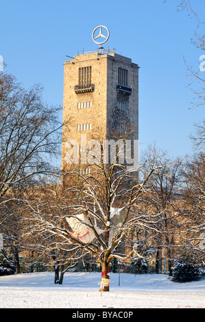 Protesta contro Stuttgart 21, un controverso sviluppo urbano e trasporti progetto, vecchi alberi nel Schlosspark park, il Foto Stock