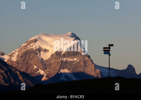 Todi, la montagna più alta delle Alpi di Glarona, 3614 m, illuminata dai primi raggi del sole con un segno in primo piano Foto Stock