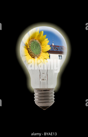 Lampadina con una casa, pannelli solari e un sun flower, immagine simbolica Foto Stock