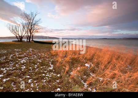 Isola di Reichenau sul Lago di Costanza nella luce della sera, Baden-Wuerttemberg, Germania, Europa Foto Stock