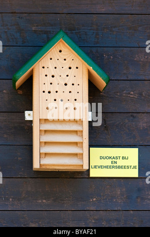 Apiario e coccinella (Coccinellidae) casella di nesting, Belgio Foto Stock