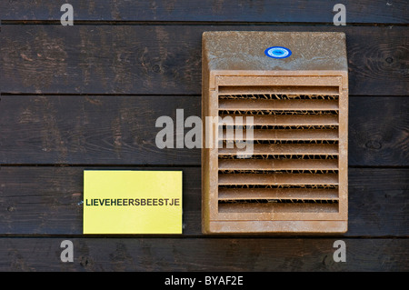 Ladybird (Coccinellidae) casella di nesting, Belgio Foto Stock