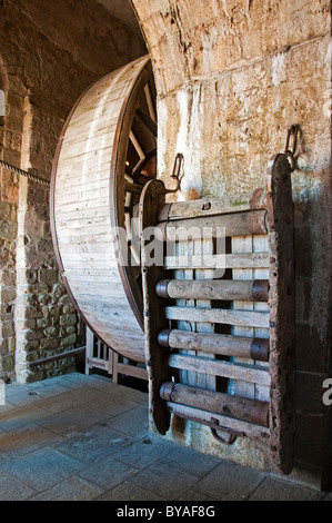 Il battistrada della ruota in corrispondenza del Mont Saint Michel abbey, Normandia, Francia Foto Stock