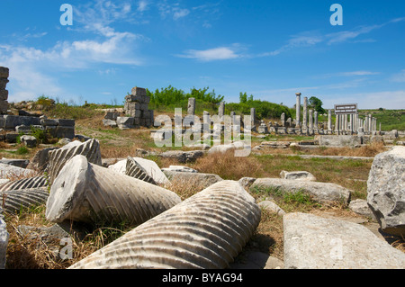 Scavo Archeologico sito di Perge, Antalya, Riviera Turca, Turchia Foto Stock