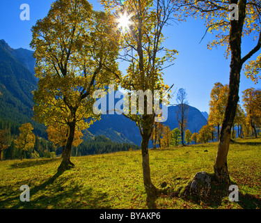 AT - TIROLO: Grosser Ahornboden (immagine HDR) Foto Stock