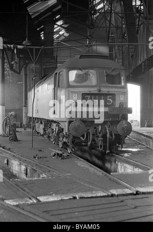 Locomotiva diesel Oxley Sheds Wolverhampton Inghilterra Regno Unito 1967 FOTO DI DAVID BAGNALL Foto Stock