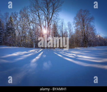 DE - Baviera: Paesaggio invernale vicino a Lenggries Foto Stock