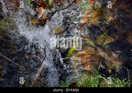 Una chiusura di foglie di autunno sotto l'acqua in un fiume inglese UK Foto Stock