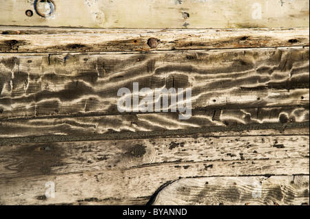 Sun legno sbiancato sul lato di una vecchia barca Foto Stock