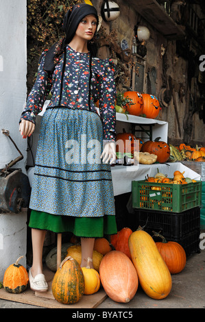 Manichino donna dagli anni cinquanta in tradizionale costume di franchi su un mercato di zucca in Dormitz, Alta Franconia, Bavaria Foto Stock