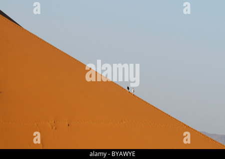 I turisti a salire sulla cresta di una duna di sabbia, Sahara, Merzouga, Marocco, Africa Foto Stock