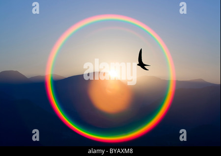 Tramonto sul Lake District fells con un arcobaleno circolare e una rapida battenti passato. Foto Stock