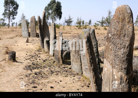 Stele di pietra con rilievi, Sito Patrimonio Mondiale dell'UNESCO, Tiya, sud Etiopia, Etiopia, Africa Foto Stock