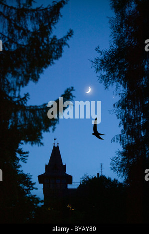 Una falce di luna su un hotel a Flims Svizzera con una rapida. Foto Stock