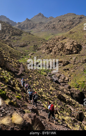 Gruppo di escursionisti e appassionati di trekking in Alto Atlante, Toubkhal National Park, Marocco, Africa del Nord Foto Stock