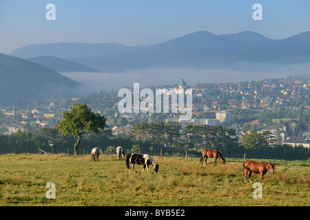 Vista dalla montagna kremesberg su cavalli e verso la città di berndorf, triestingtal, Austria inferiore, Austria, Europa Foto Stock