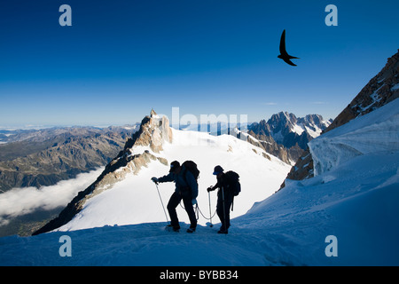 Gli alpinisti sui 4000 metri di picco del Mont Blanc du Tacul sopra Chamonix Francia Foto Stock