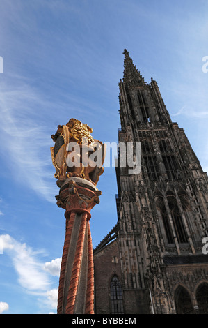 Statua di un leone con il Ulm stemma su una colonna, Ulm Minster sulla destra, Muensterplatz square, Ulm, Baden-Wuerttemberg Foto Stock