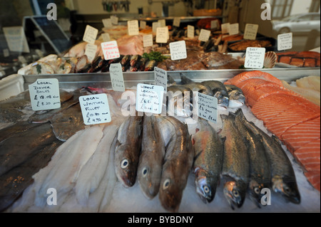 Appena pescato il pesce bagnato in vendita presso Peters pescheria in Hastings Old Town Foto Stock