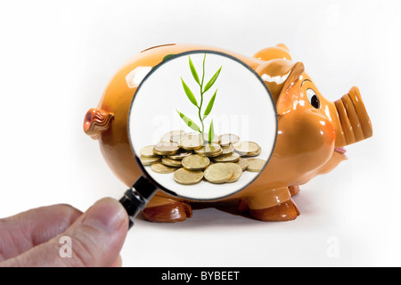 Immagine simbolica per lentamente risparmi crescenti Foto Stock