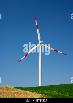 Singola turbina eolica in verde e in campo oro visto dal retro Foto Stock